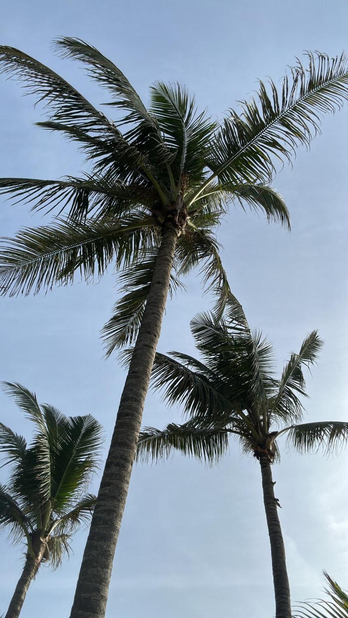 Poya Villa อาฮานกามา ภายนอก รูปภาพ